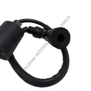 DIŞ BOBİN ve BUJİ BAŞLIĞI YBR 125