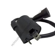DIŞ BOBİN ve BUJİ BAŞLIĞI YBR 125